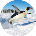 Linux Penguin